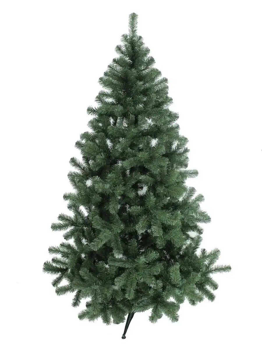 Ель 