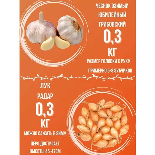 Набор Чеснок Озимый и Лук Севок 03 кг 450₽