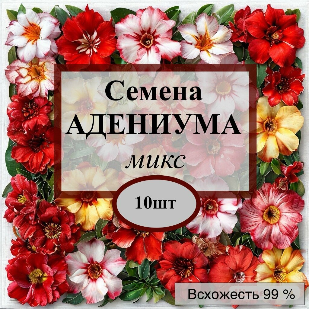 Семена 