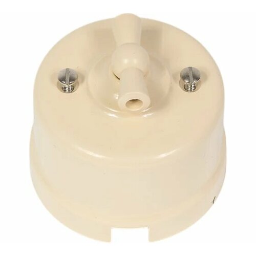 Выключатель ретро BIRONI Бирони 2-клавишный поворотный, негорючий пластик, цвет песочное золото B1-202-24