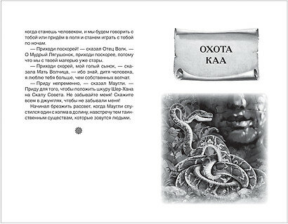 Маугли (Киплинг Редьярд Джозеф, Дарузес Нина Леонидовна (переводчик), Нечитайло Виктор Владимирович (иллюстратор)) - фото №19