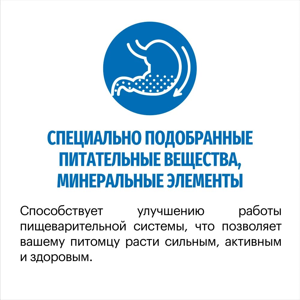 Корм для собак сухой KARMY Maxi Adult для собак крупных пород, Телятина 14 кг. — фото 1