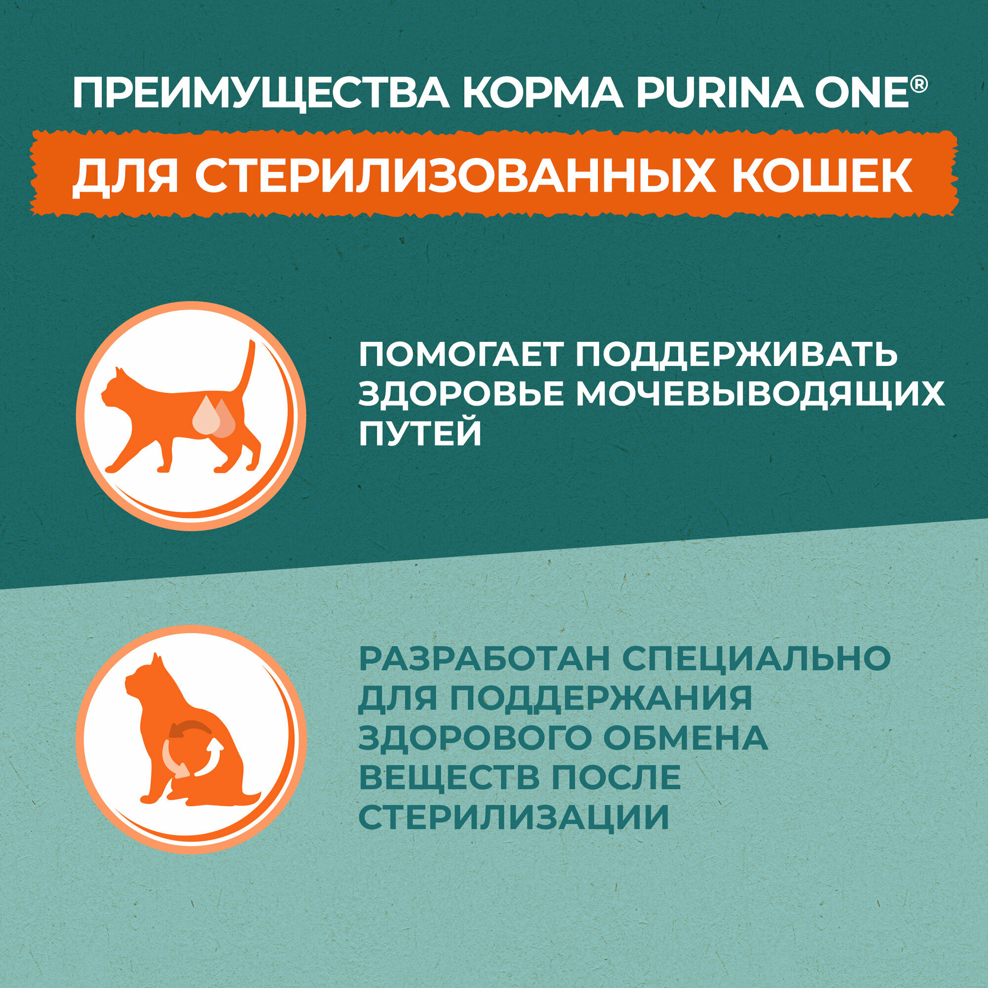 Сухой корм PURINA ONE® Природа Здоровья® для стерилизованных кошек и кастрированных котов с говядиной, 680 г — фото 1