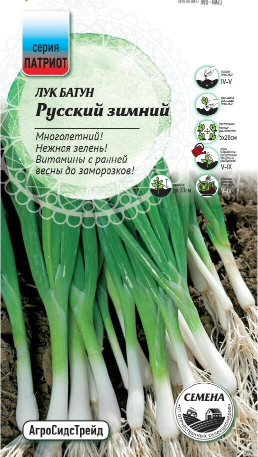 Семена овощей Патриот лук батун Русский зимний
