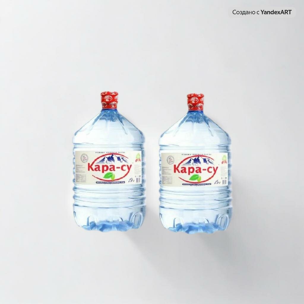 Вода питьевая Кара-Су 19л негазированная (бутыль одноразовая 2 шт.)