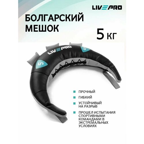 Болгарский мешок LIVEPRO Bulgarian Bag, вес 5 кг.
