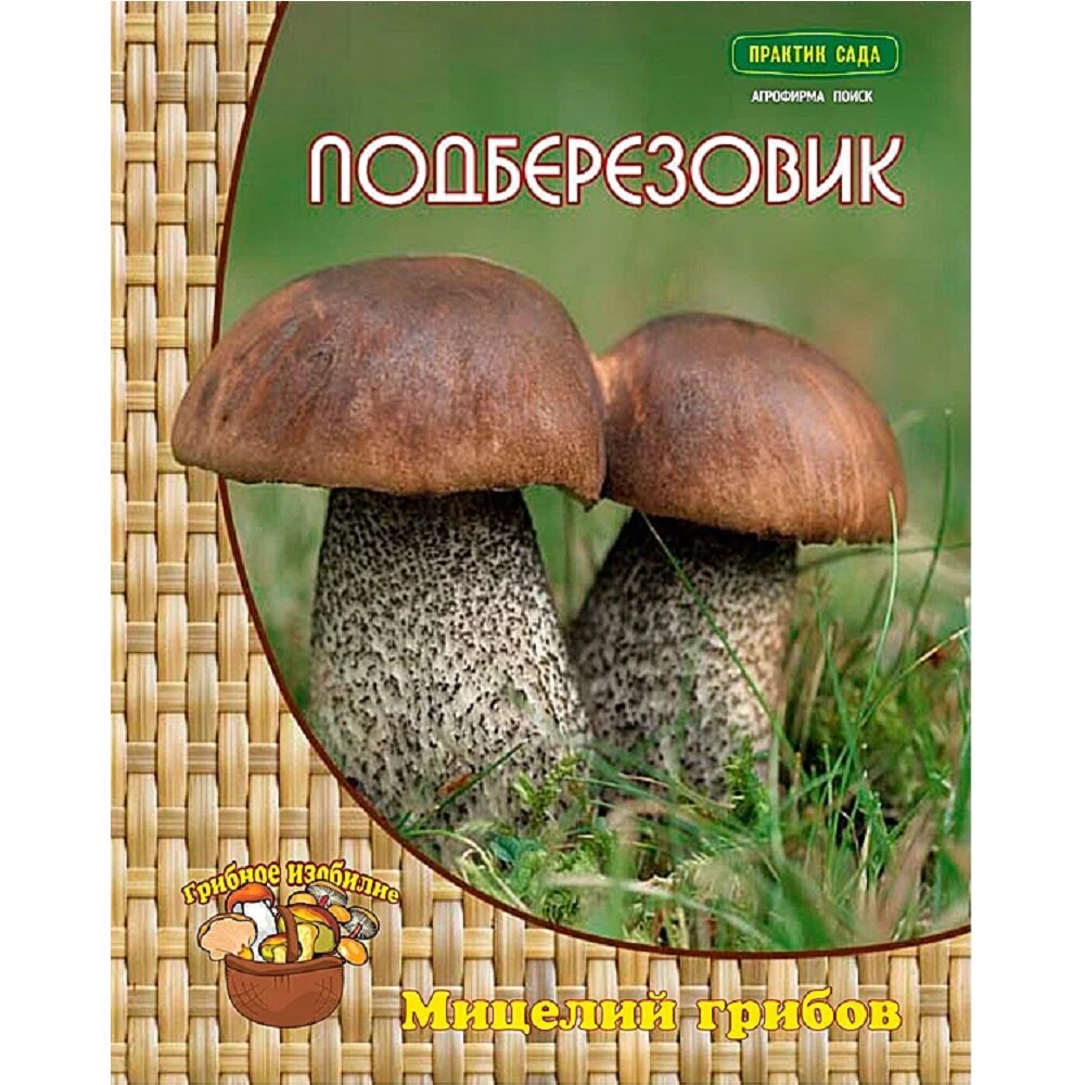 Мицелий грибов поиск 