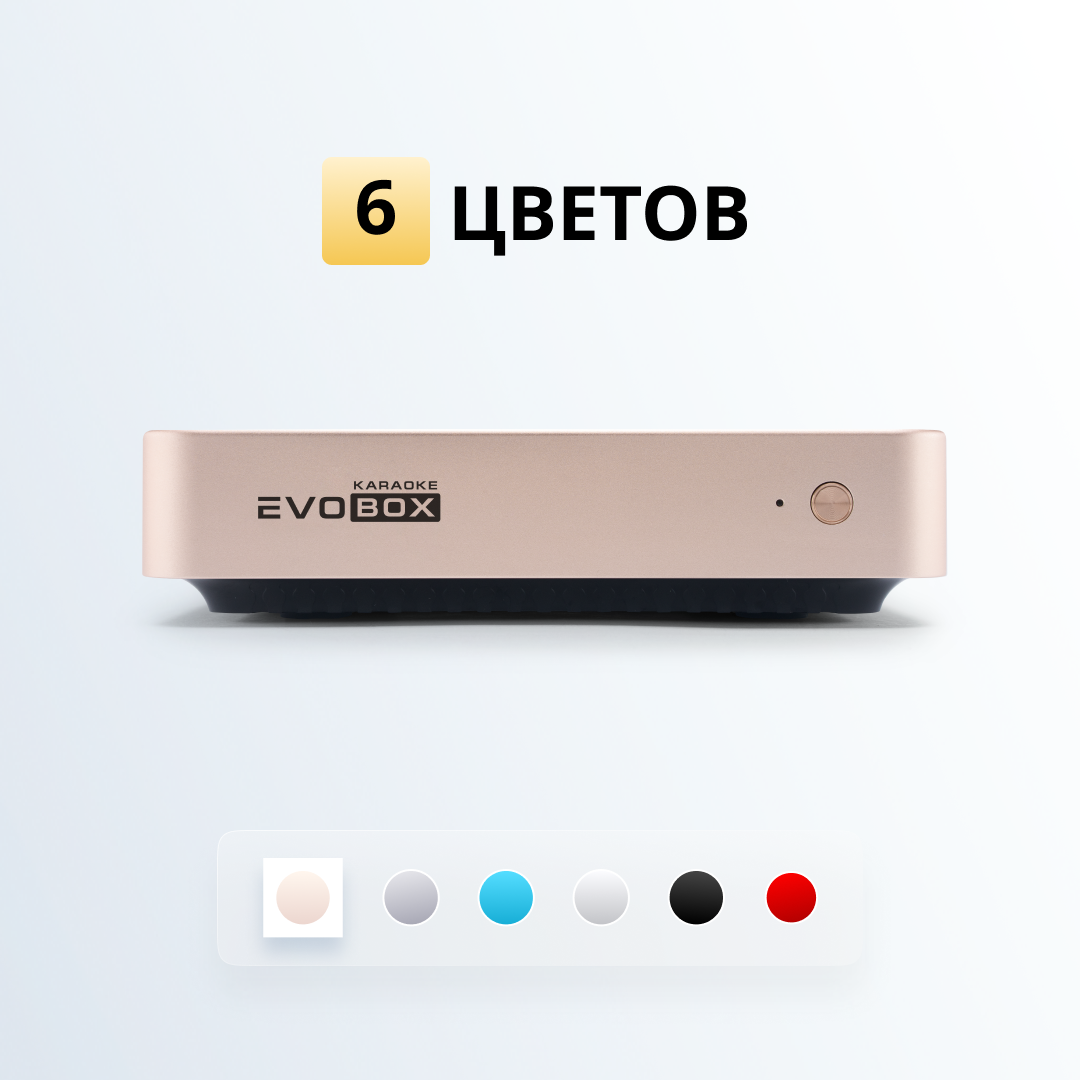 Караоке-система для дома EVOBOX Gold