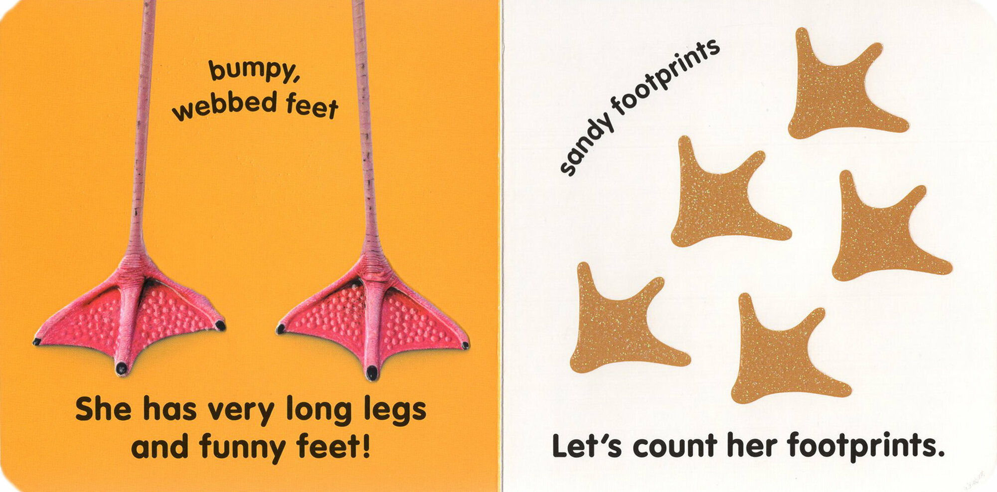 Flamingo (Sirett Dawn) - фото №3