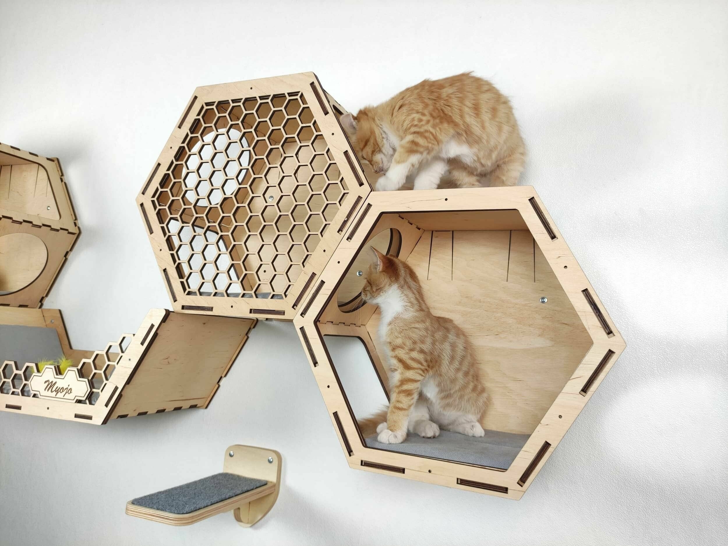 Домик для кошки настенный деревянный / Комплексы для кошек Zoo House - фотография № 3