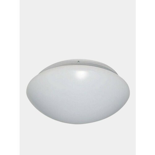 Светильник светодиодный Feron AL529 1538₽