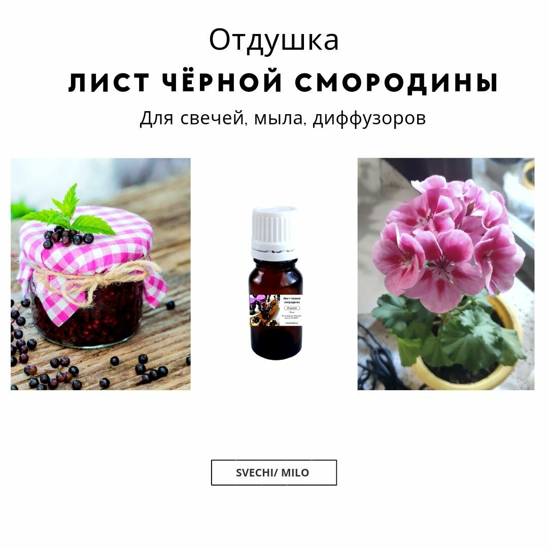 Отдушка "Лист чёрной смородины" 20 мл для свечей, мыла и диффузоров