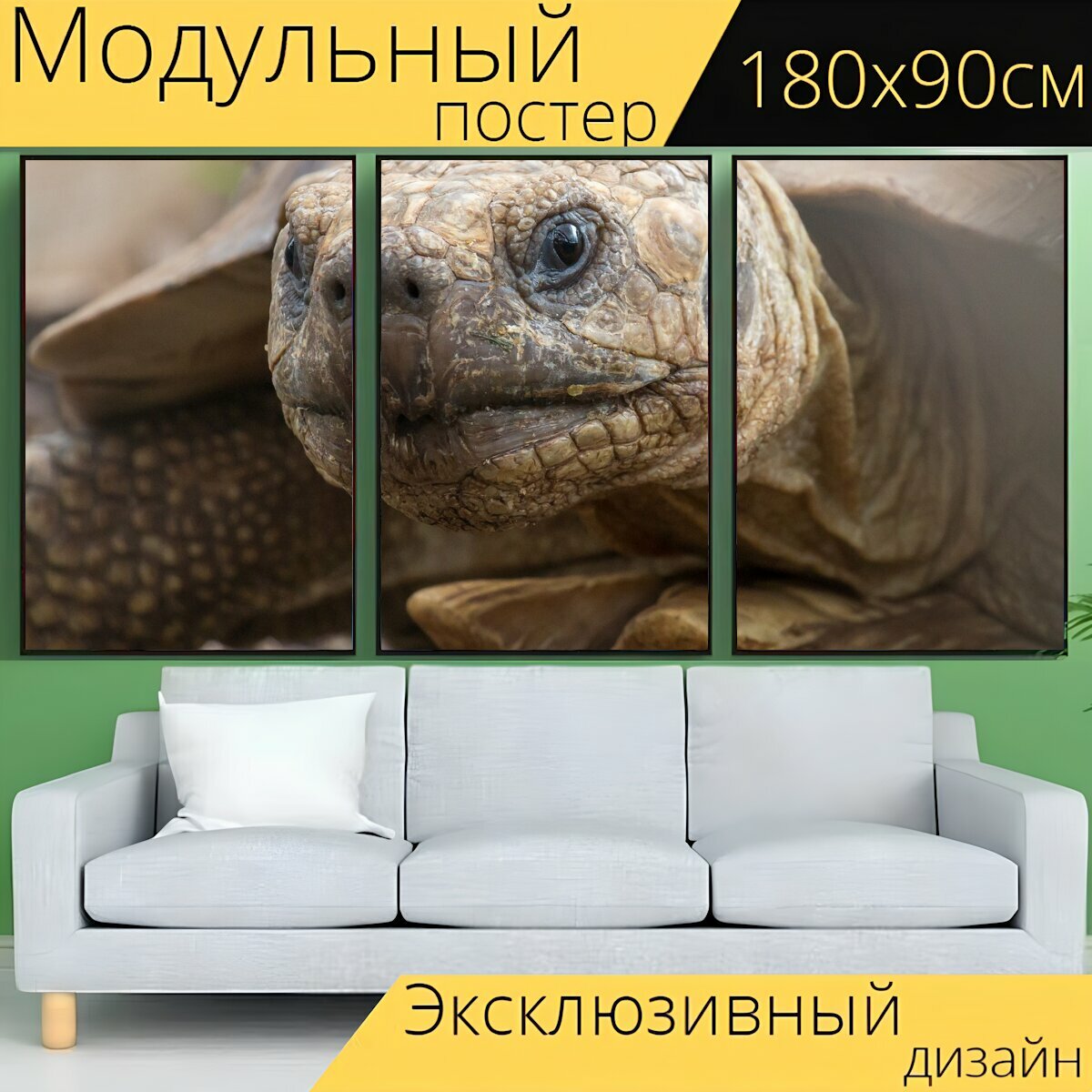 Модульный постер "Черепаха, животное, дикая природа" 180 x 90 см. для интерьера