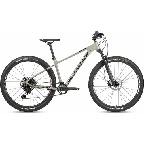 Велосипед горный SILVERBACK STRIDE 29 SX (2022), хардтейл, взрослый, мужской, алюминиевая рама, 12 скорость, дисковые гидравлические тормоза, цвет Grey/Black, серый/черный цвет, размер рамы M, для роста 170-180 см