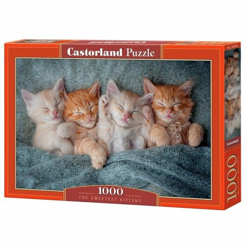 Пазл «Милые котята», 1000 элементов (комплект из 2 шт) пазл милые котята 160 элементов