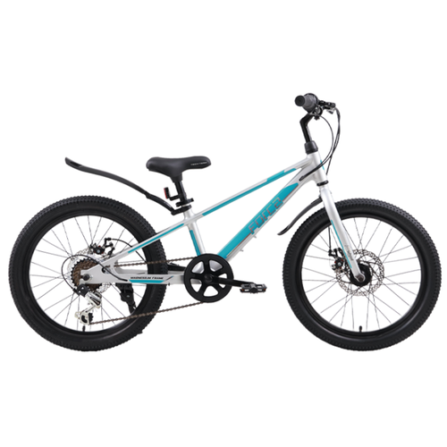Детский велосипед TechTeam Forca 20 (2024), серый/синий (NN012561)