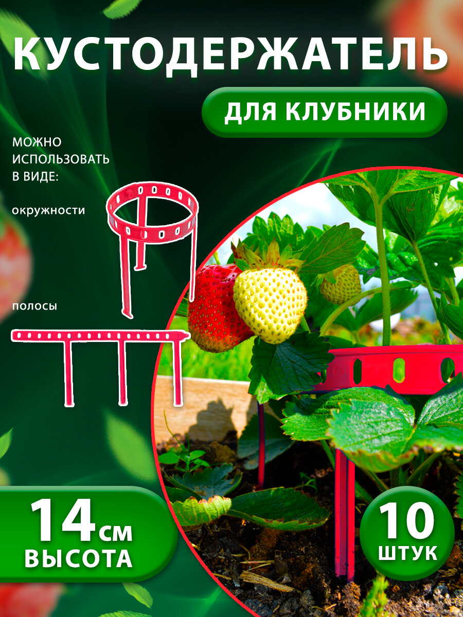 фото Подставка под клубнику, кустодержатель, опора для растений