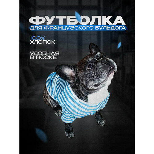 Футболка для собак 750₽