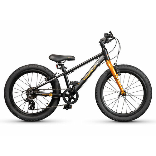 Детский велосипед Maxiscoo 5 Bike 20 M, год 2024, цвет Черный