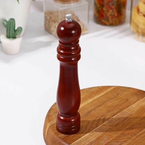 Мельница для специй 265x5 см 850₽