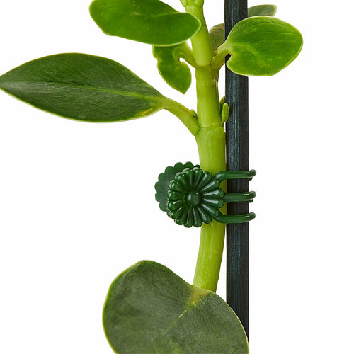 Прищепки для подвязки растений 30 штук 785₽