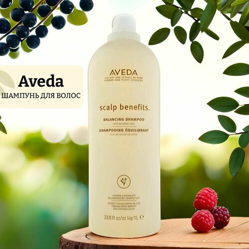 Балансирующий шампунь для волос и кожи головы scalp benefits balancing shampoo aveda шампунь scalp benefits balancing балансирующий 250 мл