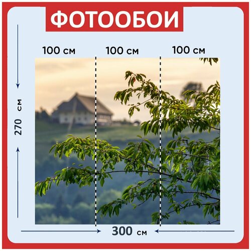 Фотообои Черный лес пейзаж природа 300x270 см флизелиновыена стену 3940₽
