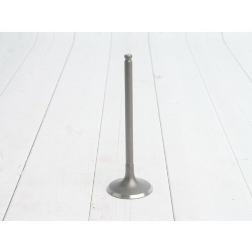 PitBikeClub Клапан выпускной ZS172FMM-7 CB250RL 1694₽