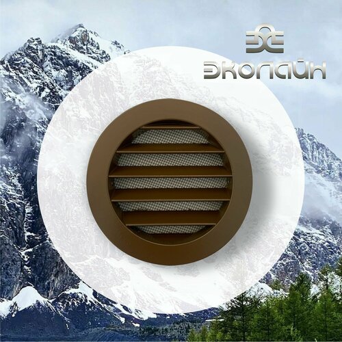 Шоколадный