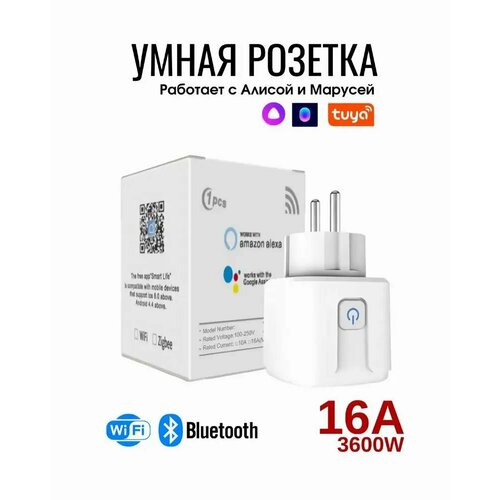 Умная Розетка 16 Ампер 80000₽