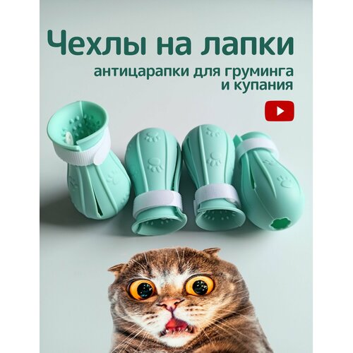 Антицарапки для мытья кошек