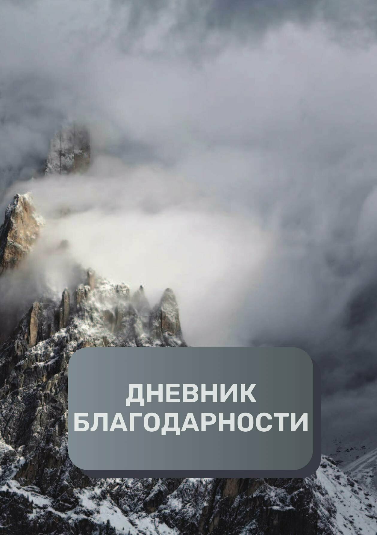 Дневник благодарности, премиум (подарочное) издание, 100 страниц