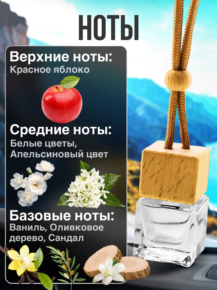 Ароматизатор в машину автопарфюм подвесной Boss Orange стойкие — фото 1
