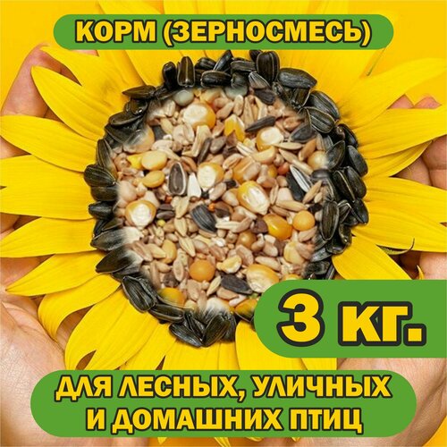 Корм 3 кг. для лесных, уличных и домашних птиц