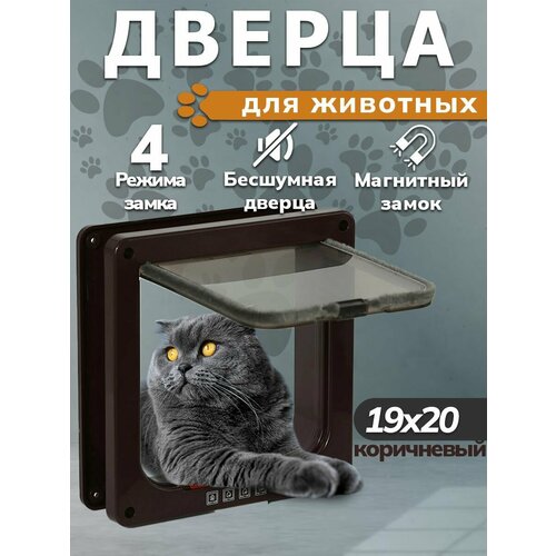 Дверца для животных врезная, котоход, лаз, тоннель для кошек и собак