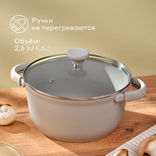 Кастрюля из алюминия Pragma Senron 26 л с антипригарным покрытием крышка в комплекте индукция 2007₽