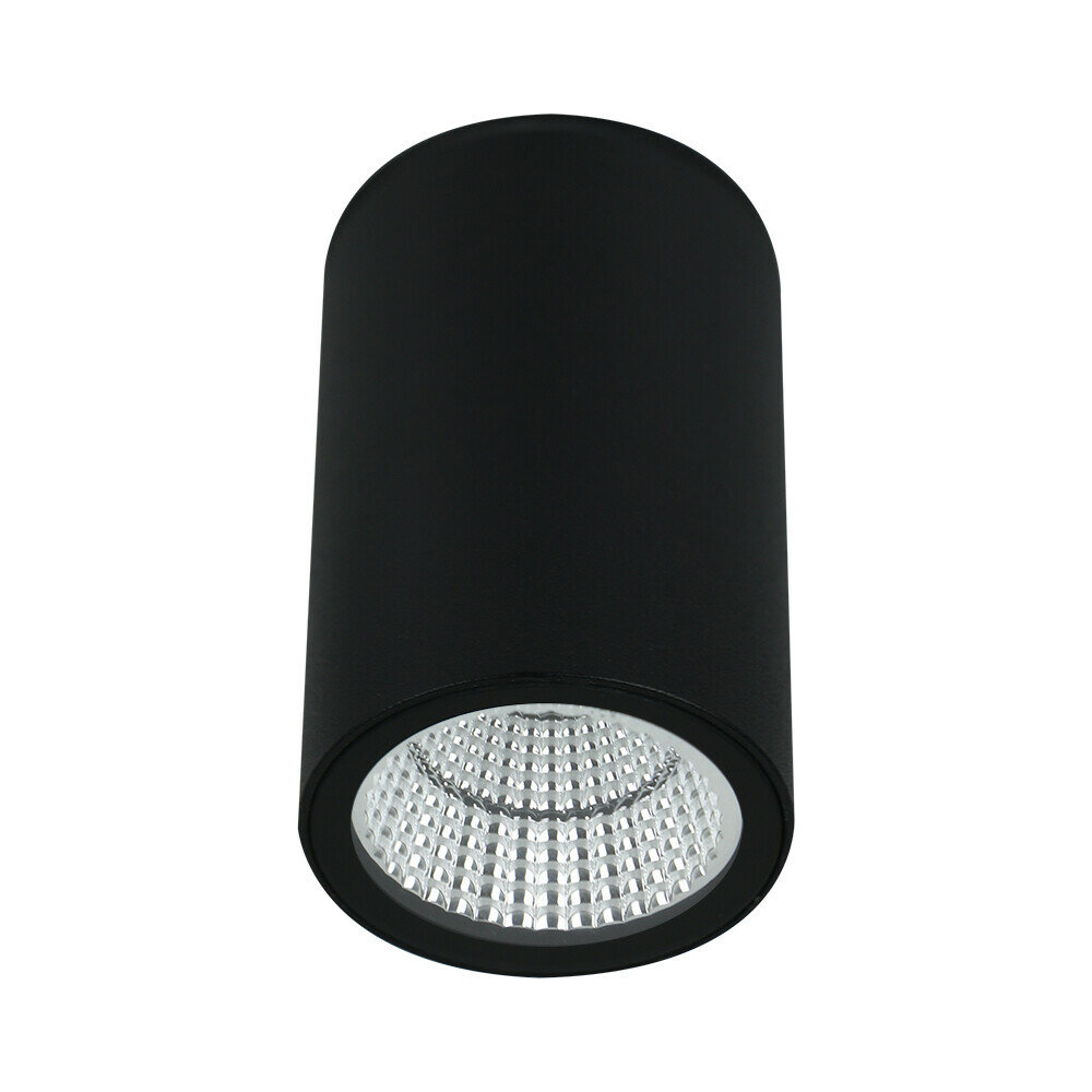 Уличный потолочный светильник Arte Lamp TORCULAR A1307PF-1BK LED чёрный