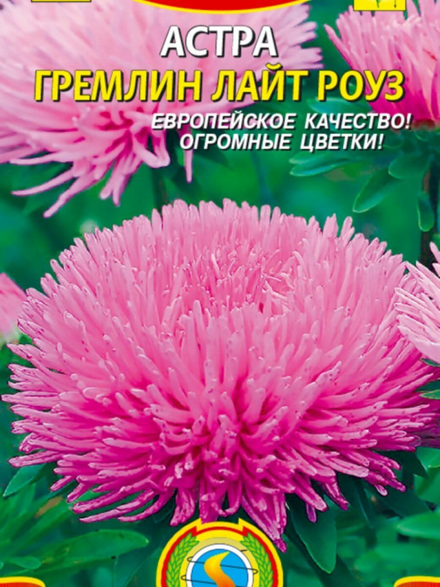 Семена Астра Гремлин лайт-роуз 02 гр Плазменные семена