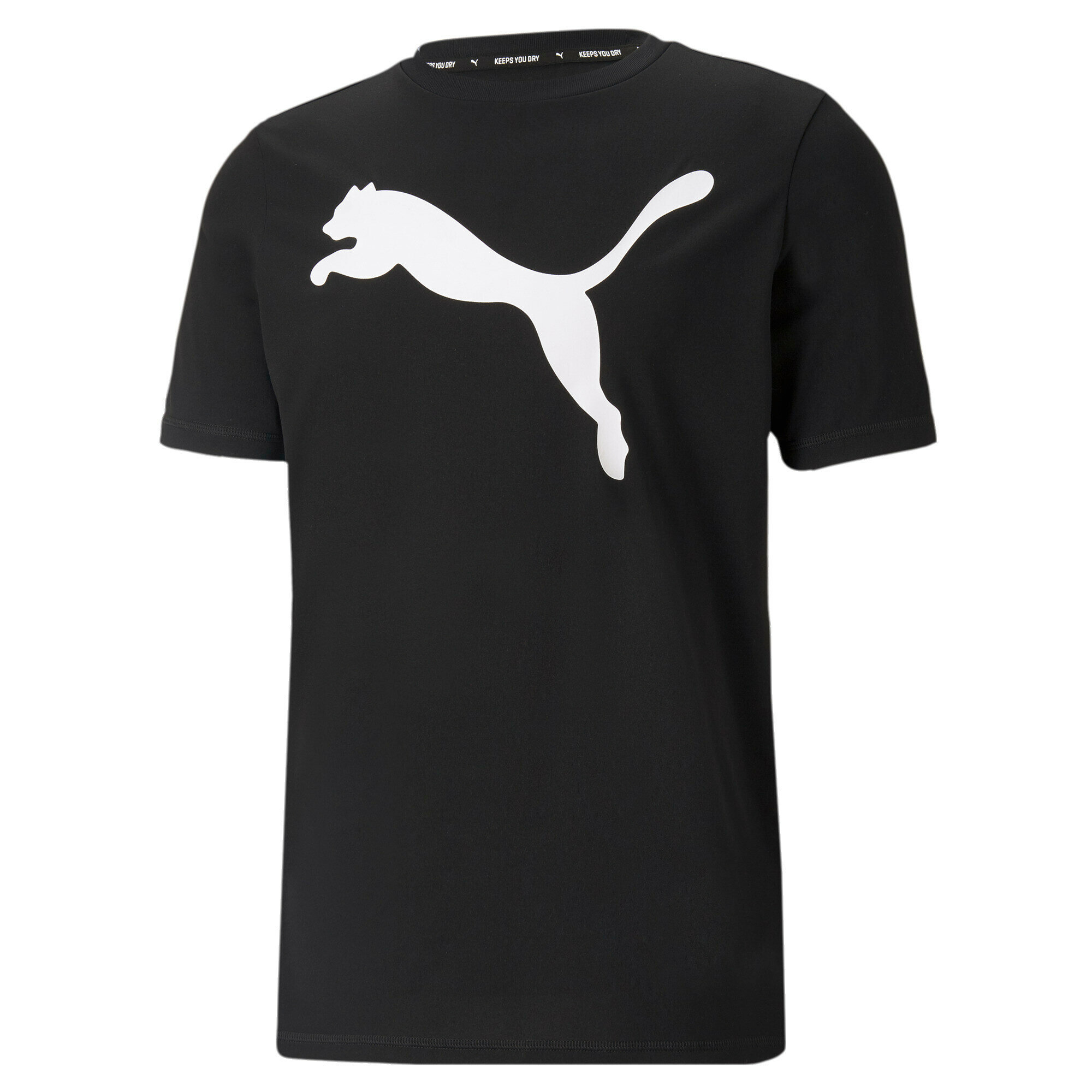 Футболка спортивная PUMA Active Big Logo Tee