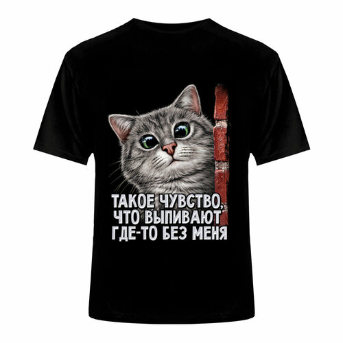 фото Футболка, размер 56, черный banzai