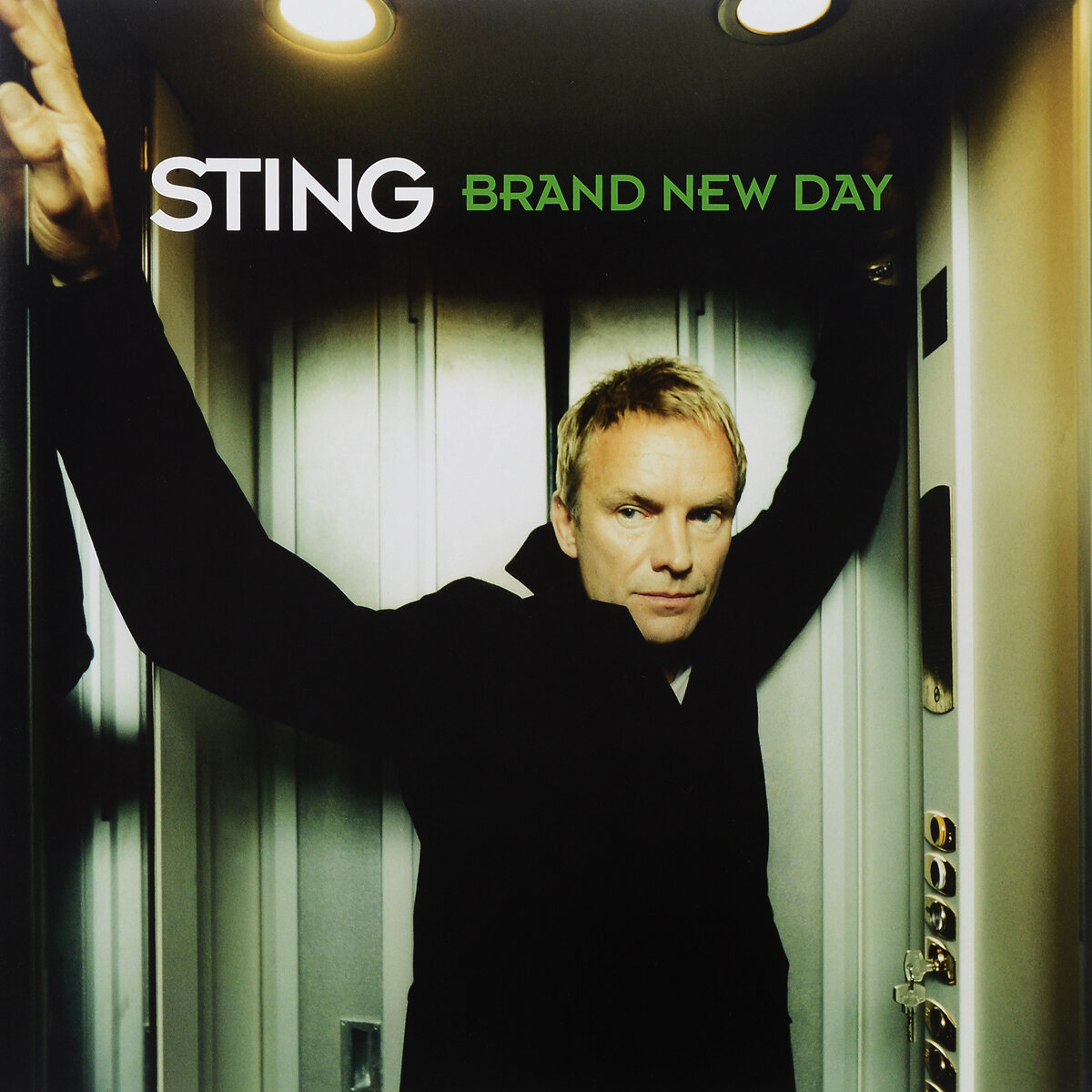 Виниловая пластика. Sting. Brand New Day (2 LP)