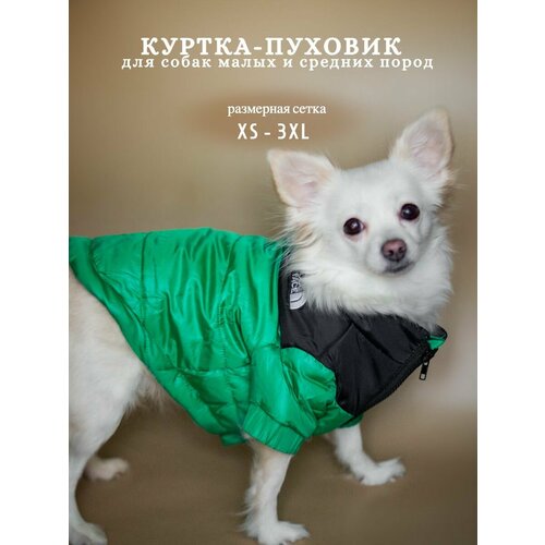 Куртка для собак зимняя, пуховик The dog face, одежда для собак. Размер 2XL