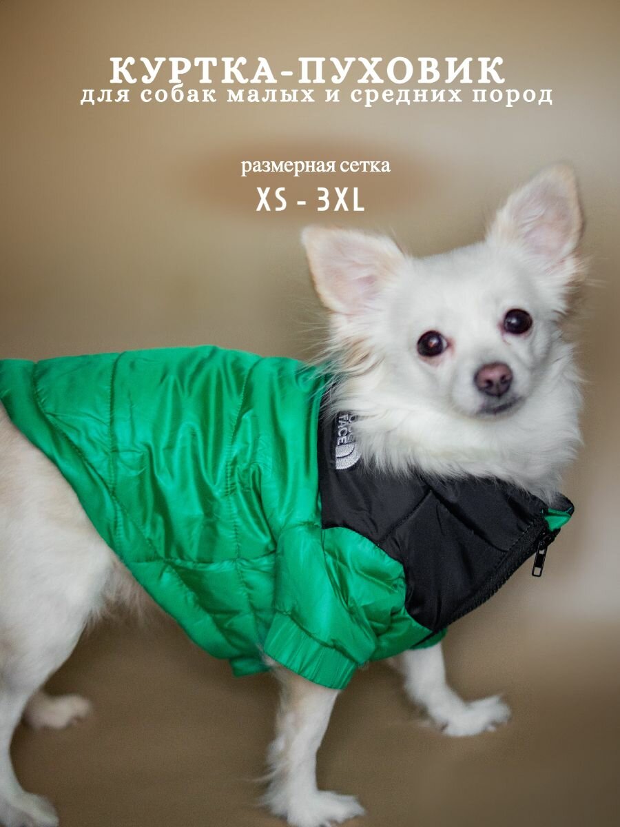 Куртка для собак зимняя, пуховик The dog face, одежда для собак. Размер XS