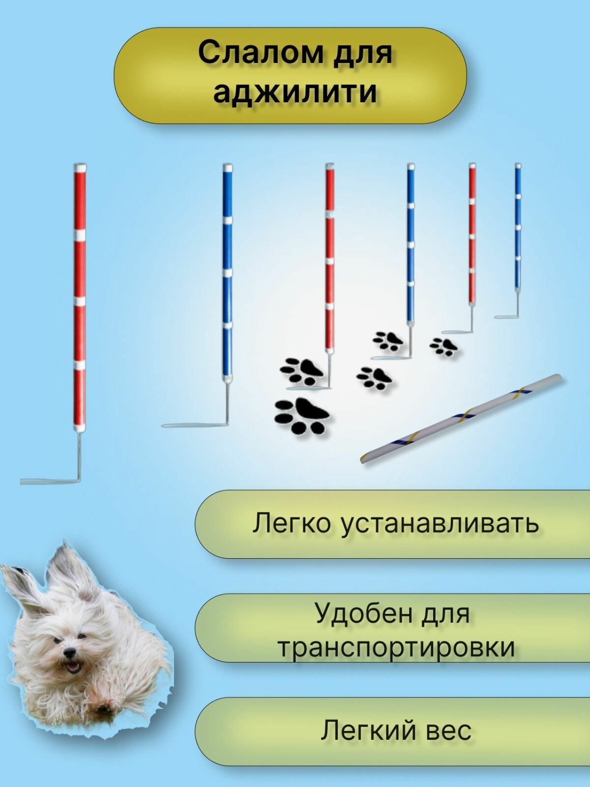 Слалом для аджилити (слалом для собак)