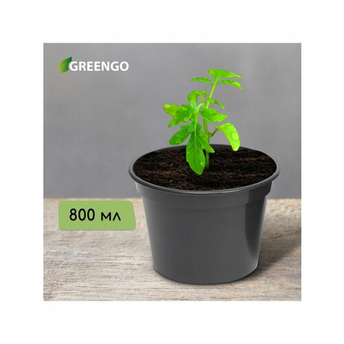 Горшки для рассады Садовод 0 null