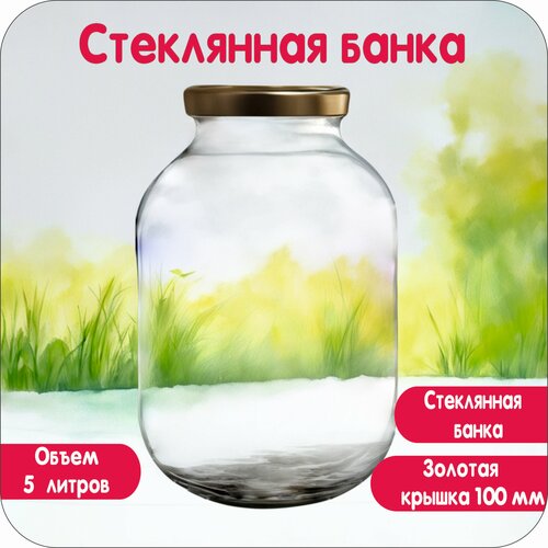 Банка 5л для хранения и консервирования