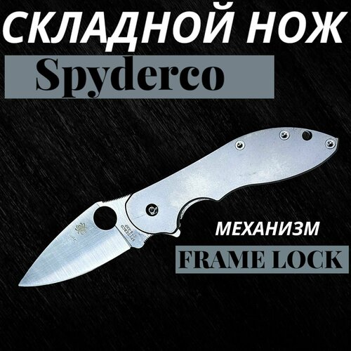 фото Складной нож spyderco domino silver metal