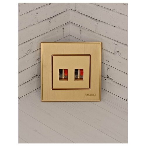 Аудио-розетка для динамиков цвета шампань 514