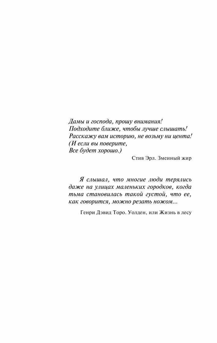 Нужные вещи (Покидаева Татьяна Юрьевна (редактор), Аракелов Артём В. (переводчик), Кинг Стивен) - фото №8