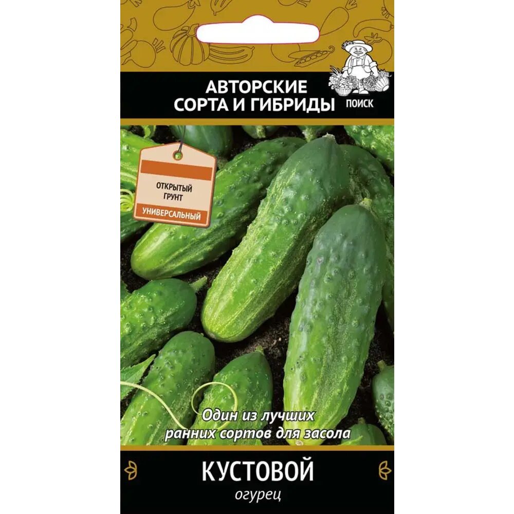 Семена Огурец «Кустовой»